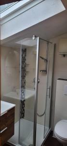 a bathroom with a shower and a toilet at Ferienwohnungen Pfister in Zell am Ziller