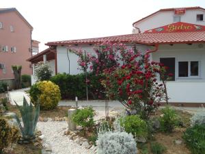 a garden in front of a house with red flowers at Pansion Comfort Sidro in Novalja