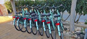 Jazda na bicykli v okolí ubytovania Silvia Casa Vacanze