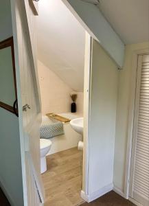 an attic bathroom with a toilet and a sink at Farmhouse Apartment in Pembrokeshire