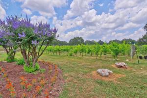 Zahrada ubytování Fall Creek Vineyards Chardonnay Room