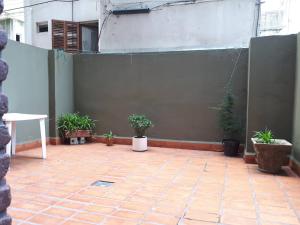a patio with potted plants and a green wall at Susana in Mar del Plata
