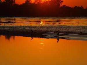 two birds walking on the beach at sunset at Chateau de la Vieille Chapelle in Lugon et l’Ile du Carney
