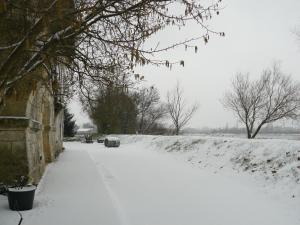 a snow covered driveway with a field and trees at Chateau de la Vieille Chapelle in Lugon et l’Ile du Carney