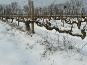a field covered in snow with trees in the background at Chateau de la Vieille Chapelle in Lugon et l’Ile du Carney