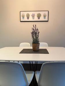 Fotografie z fotogalerie ubytování Condo Le Champlain-102 v destinaci Bromont + 37 fotografií