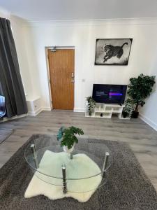 Μια τηλεόραση ή/και κέντρο ψυχαγωγίας στο Pejay Crystal home