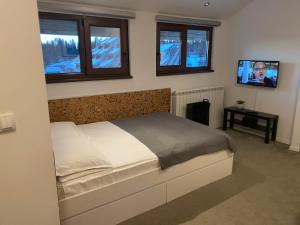 um quarto com uma cama, uma TV e janelas em Vuk & Sofija Apartmani em Kopaonik