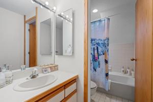 Stratton AcresMountain Haven for Families w Deck - Shuttle - Views的带水槽、马桶和淋浴的浴室 更多50张照片