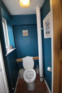 a bathroom with a white toilet in a blue wall at Richmond House in Sheffield