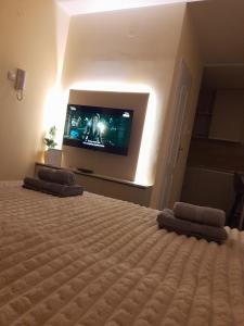 a bedroom with a bed with a flat screen tv at Apartman Slađa in Novi Sad
