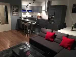 sala de estar con sofá y cocina en Appartement Pont Neuf en Lille