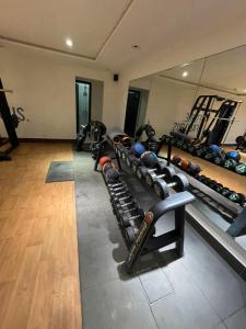 a gym with a bunch of equipment in a room at Zameen Opal in Lahore
