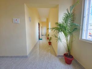Fotografie z fotogalerie ubytování Mayura Inn v destinaci Rāmeswaram