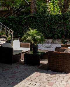 Zahrada ubytování Hotel Chery
