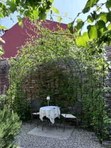 Zahrada ubytování B&B Carmen Garden