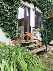 Zahrada ubytování Gartenapartment Storchenblick