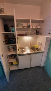 Kuchyň nebo kuchyňský kout v ubytování Apartmán Almberg - Mitterdorf - Mitterfirmiansrout