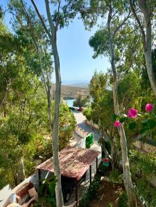 Gallery image of Tersanas Beach Apartments in Chorafakia
