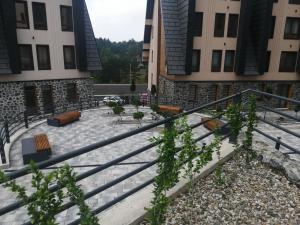 公寓所在的建築