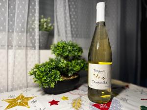 una bottiglia di vino seduta sopra un tavolo di Apartment Amistad Novi Sad a Novi Sad Altre 8 foto
