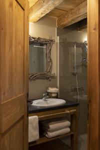 a bathroom with a sink and a shower at Pags Haut in Châtel