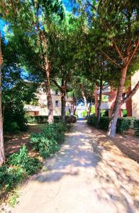een door bomen omzoomd pad in een park bij " Côté Parc " Cité de l'espace - Entrée autonome in Toulouse