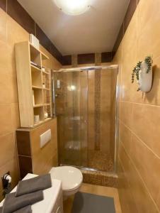 A bathroom at ADM Spacious Apartment in City Center - WIFI, Coffee, AC