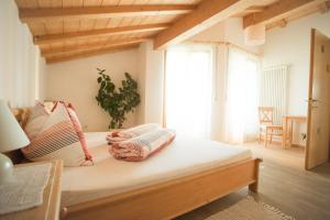 Bett in einem Zimmer mit einem großen Fenster in der Unterkunft Tollhof in Bozen