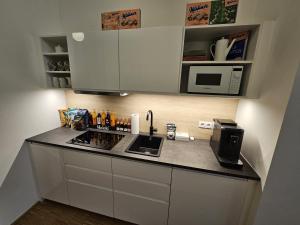 a kitchen with a counter with a sink and a microwave at Mauthaus Lichtenstein in Vienna