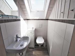 a bathroom with a sink and a toilet with a skylight at Ferienhaus mit privater Sauna in Granzow +22 photos