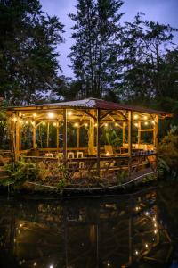 Fotografie z fotogalerie ubytování Blue Morpho Lodge v destinaci Bajos del Toro