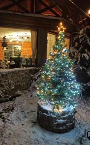 Fotografia z galérie ubytovania Apartamenty Sowianka v destinácii Ludwikowo