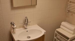 Bilik mandi di Luxury Kaunas Old Town Apartment +20 gambar
