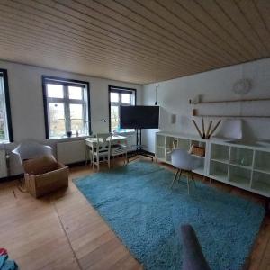 a living room with a blue rug and a tv at Villa Sommersted Andersen in Sommersted +8 photos