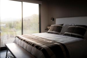 特来凡林Tylluan Lodge的一间卧室,里面有一张床和一扇大窗户。