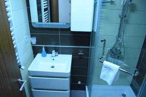 a bathroom with a sink and a shower at Urban Vibe Apartments 2 in Skopje +16 photos
