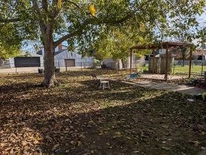 une table de pique-nique sous un arbre dans un parc dans l'établissement Luxury Studio located in downtown windsor for short term stay, à Windsor
