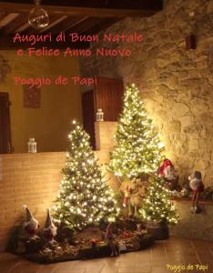 Foto sihtkohas Cantagrillo asuva majutusasutuse Agriturismo Poggio de Papi galeriist