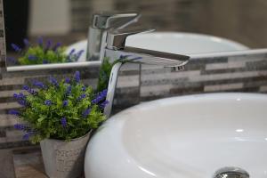 un lavabo con un grifo con una planta en Villa Hanna's Garden - Mintia, en Mintia 46 fotos más