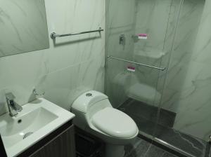 帕斯托Hotel NOVA的配有马桶、水槽和淋浴的浴室