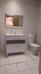a bathroom with a sink and a toilet at Herb studio in Casablanca (800 m from Casavoyageurs station) in Casablanca +15 photos