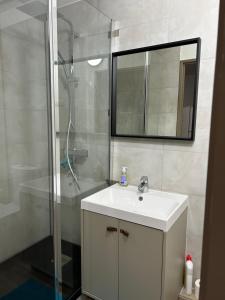 a bathroom with a white sink and a shower at Apartement Saint Louis Train Station- EuroAirport- Basel in Saint-Louis +11 photos
