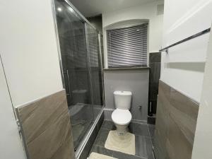 a bathroom with a toilet and a shower at City Life Access Everywhere in London +28 photos