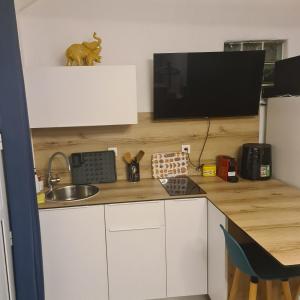 Kuchyň nebo kuchyňský kout v ubytování Studio à l'Anse Mitan