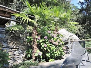 Giardino di Rustico Gatto by Fewotessin