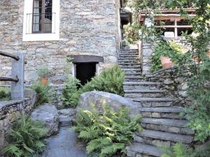 Giardino di Rustico Gatto by Fewotessin