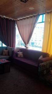 Un lugar para sentarse en Petra inbox Hostel