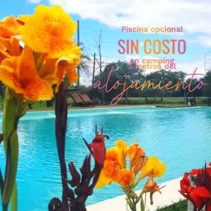 a group of flowers in front of a swimming pool at Hospedaje La Bussola I in Gualeguaychú