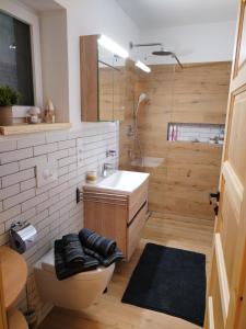 Kuchyň nebo kuchyňský kout v ubytování Apartmán Schwaderbach